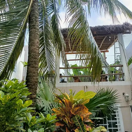 Kika Studios