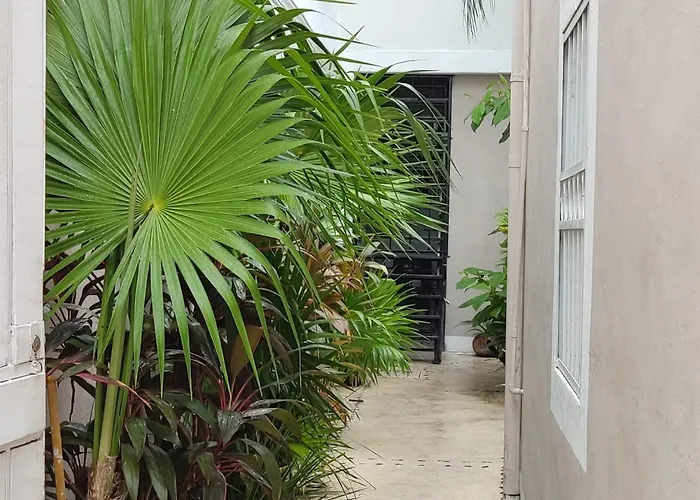 Kika Gasthof Playa del Carmen